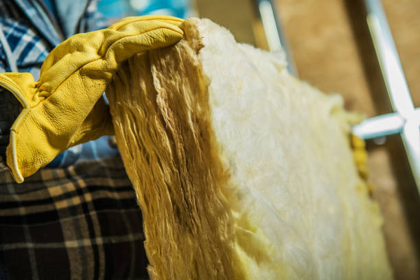 Best Geographic-Specific Insulation Services in Bloomfield, NM