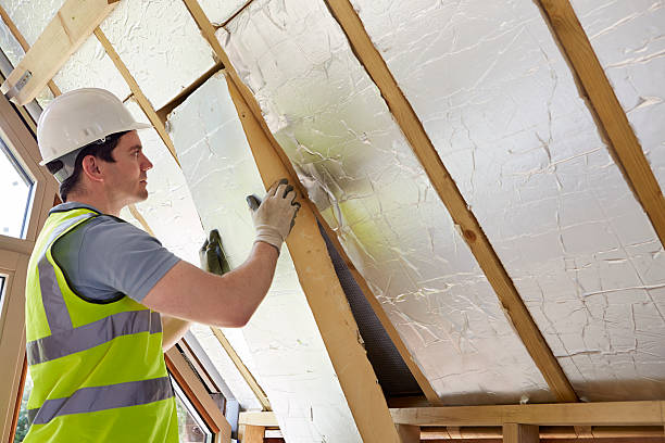 Best Geographic-Specific Insulation Services in Bloomfield, NM